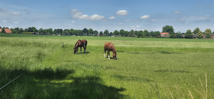 20260621_130642 Wandeling over Trage Tocht Aaltense Goor