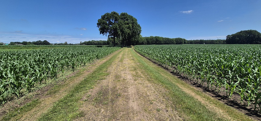 20260621_130914 Wandeling over Trage Tocht Aaltense Goor
