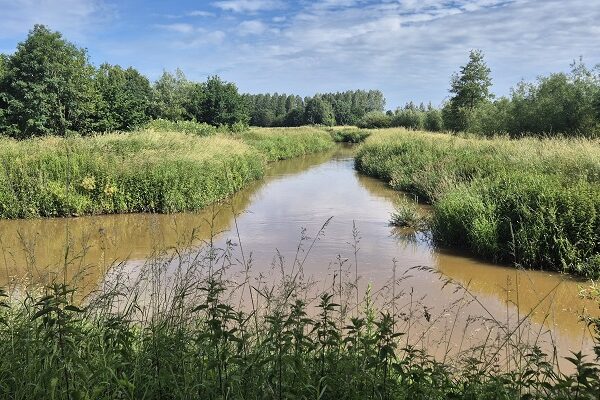 Originele Wandeling door de Demervallei bij Zichem (B)
