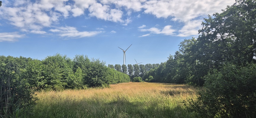 trage-tocht-aaltense-goor-10 Wandeling over Trage Tocht Aaltense Goor