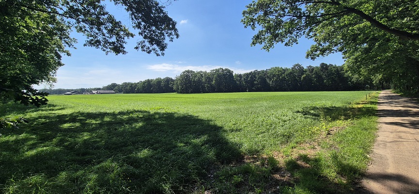 trage-tocht-aaltense-goor-12 Wandeling over Trage Tocht Aaltense Goor