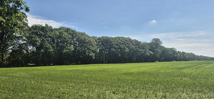 trage-tocht-aaltense-goor-13 Wandeling over Trage Tocht Aaltense Goor