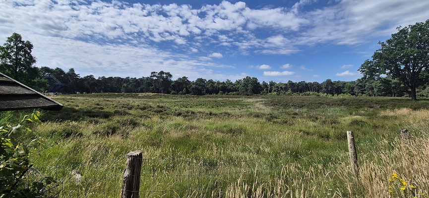 Wandeling over Trage Tocht Aaltense Goor bij de Vennebulten