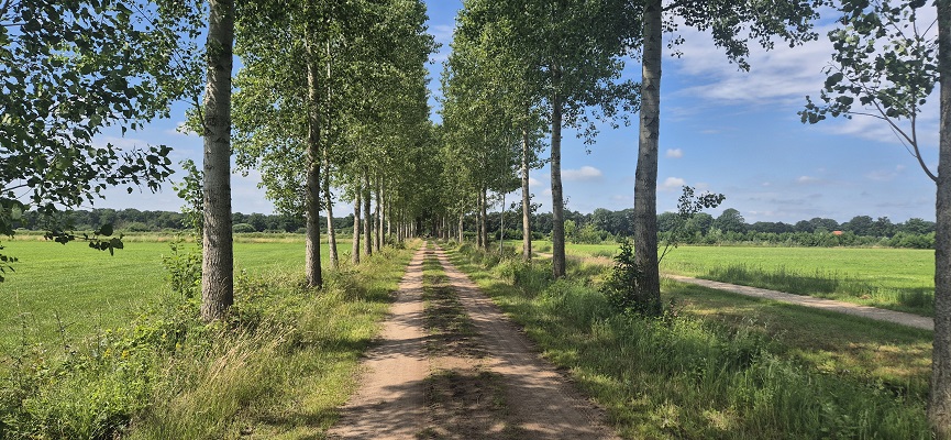 trage-tocht-aaltense-goor-4 Wandeling over Trage Tocht Aaltense Goor