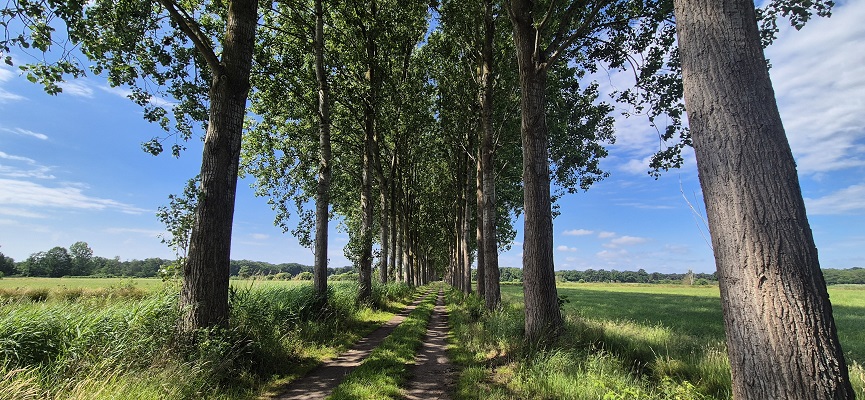 trage-tocht-aaltense-goor-5 Wandeling over Trage Tocht Aaltense GoorWandeling over Trage Tocht Aaltense Goor