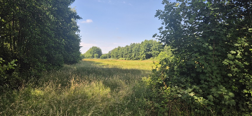 Wandeling over Trage Tocht Aaltense Goor