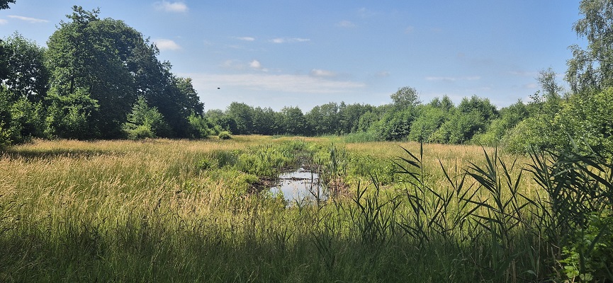 trage-tocht-aaltense-goor-9 Wandeling over Trage Tocht Aaltense Goor