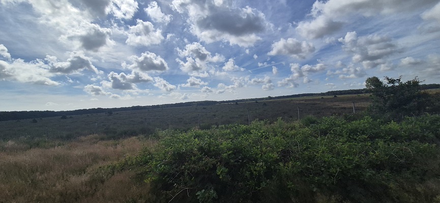 trage-tocht-bussum-1 Wandeling over Trage Tocht Bussum op de Bussummerheide