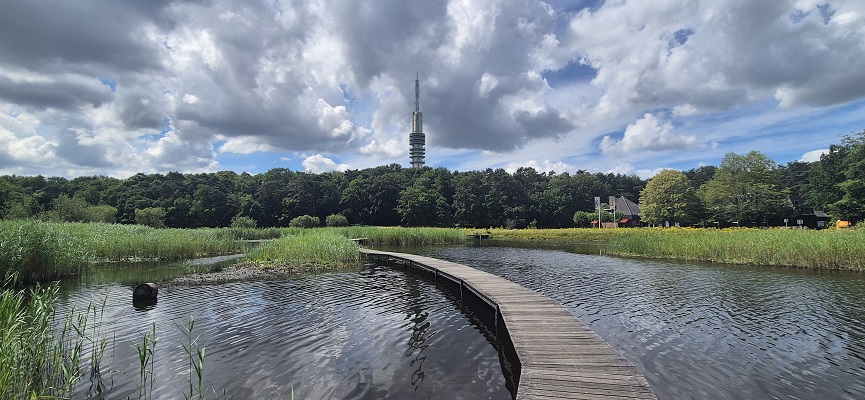 Wandeling over Trage Tocht Bussum bij Zanderij Crailoo
