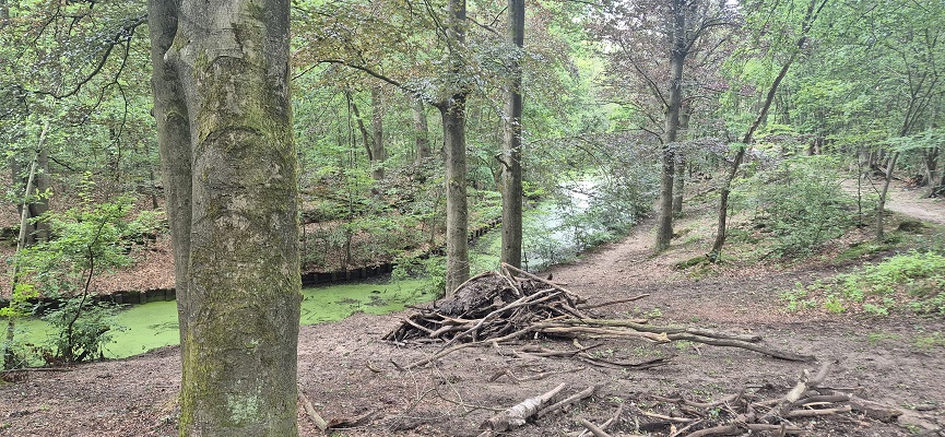 Wandeling over Trage Tocht Bussum in het Spandersbos