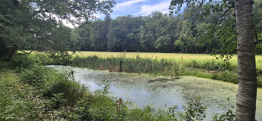trage-tocht-bussum-19 Wandeling over Trage Tocht Bussum op landgoed Hilver