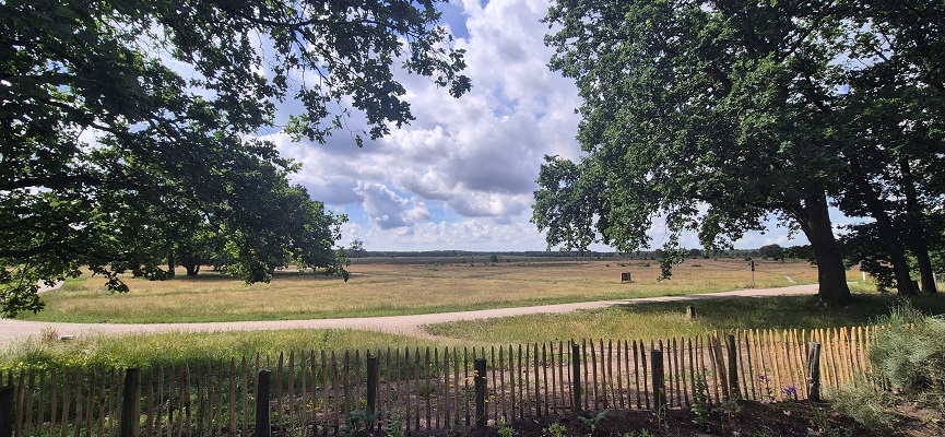 trage-tocht-bussum-2 Wandeling over Trage Tocht Bussum op de Bussummerheide