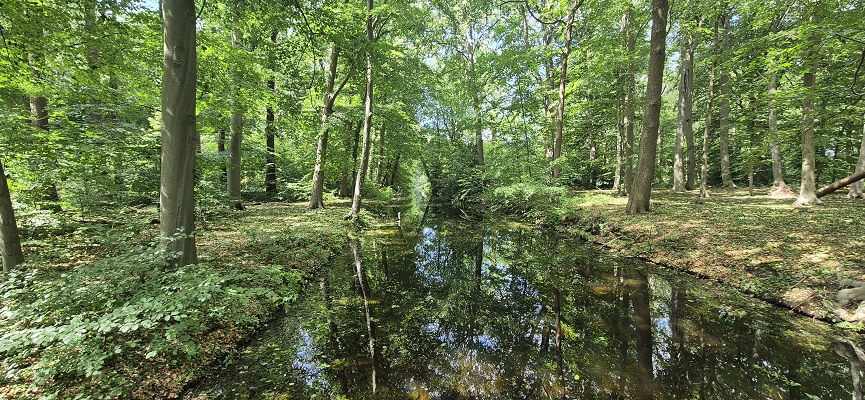 trage-tocht-bussum-20 Wandeling over Trage Tocht Bussum op landgoed Hilver