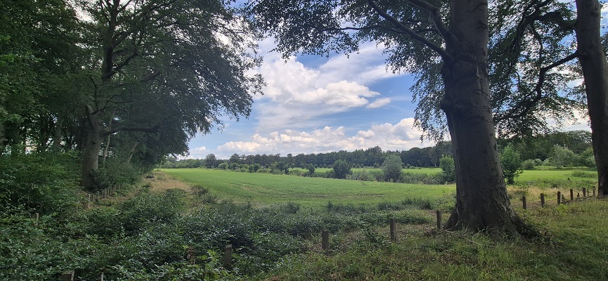 trage-tocht-bussum-22 Wandeling over Trage Tocht Bussum op landgoed Hilver