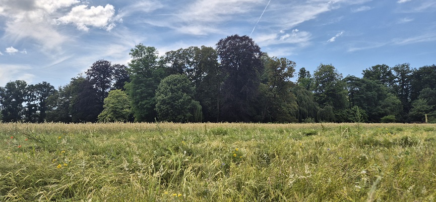 trage-tocht-bussum-25 Wandeling over Trage Tocht Bussum op landgoed Hilver