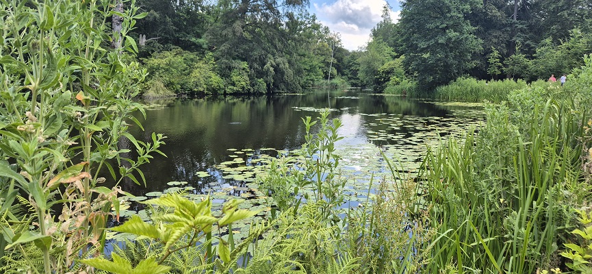 trage-tocht-bussum-28 Wandeling over Trage Tocht Bussum op landgoed Spanderswoud