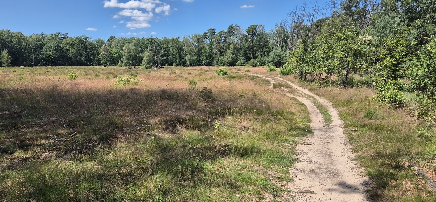 Wandeling over Trage Tocht Bussum bij de Fransche Kamp