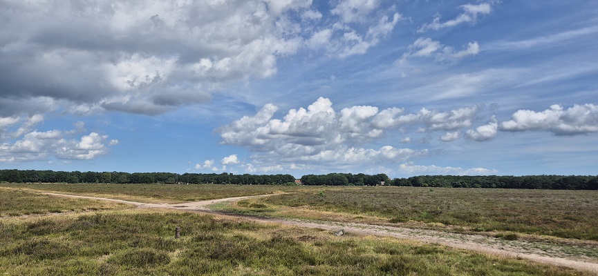 Wandeling over Trage Tocht Bussum op de Bussummerheide