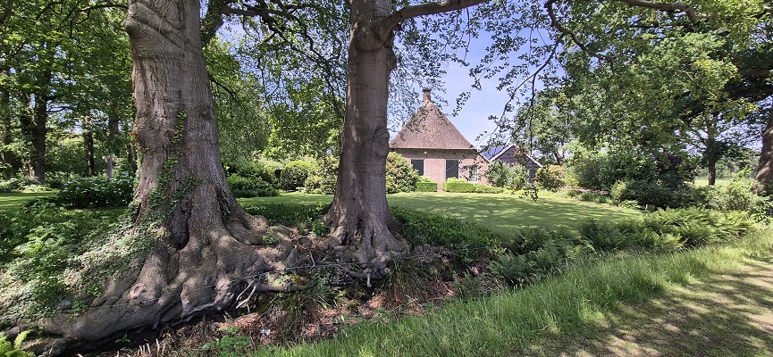 Wandeling over Trage Tocht De Wijk op landgoed Dickinge