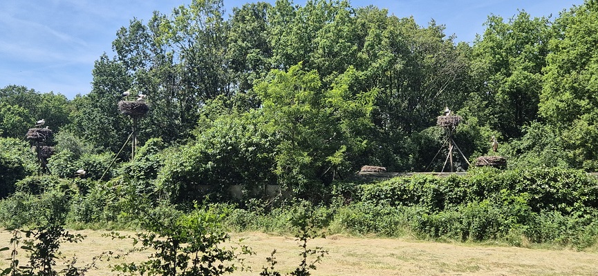 Wandeling over Trage Tocht De Wijk bij kasteel Havixhorst