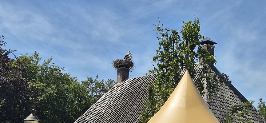 Wandeling over Trage Tocht De Wijk bij kasteel Havixhorst