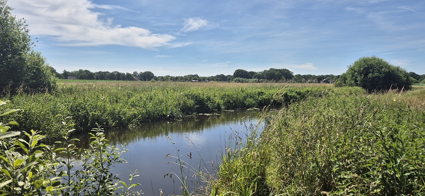 Wandeling over Trage Tocht De Wijk bij de Reest