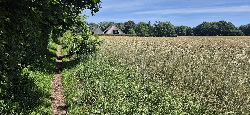 Wandeling over Trage Tocht De Wijk bij de Reest