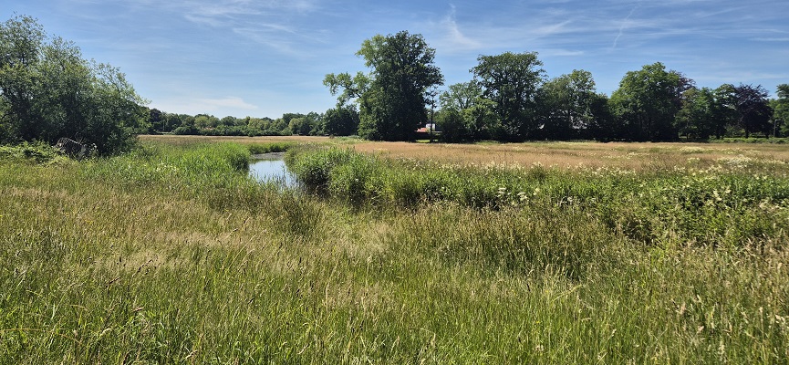 Wandeling over Trage Tocht De Wijk bij de Reest