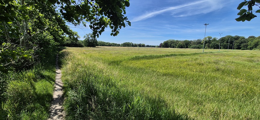 Wandeling over Trage Tocht De Wijk bij de Reest