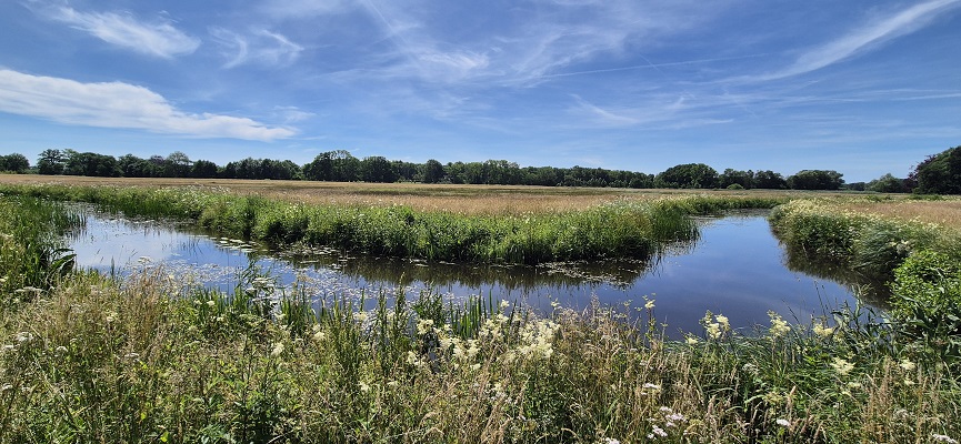 Wandeling over Trage Tocht De Wijk bij de Reest