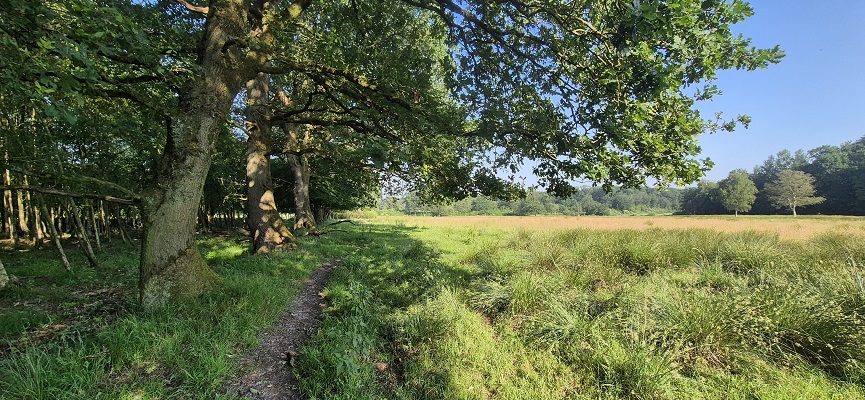 Wandeling over Trage Tocht Gees bij de Geesterstroom