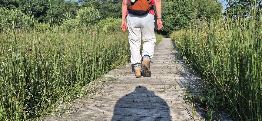 Wandeling over Trage Tocht Gees bij de Geesterstroom