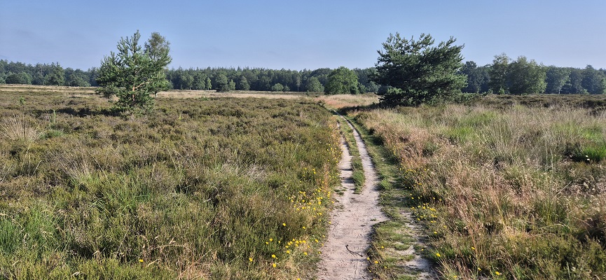 Wandeling over Trage Tocht Gees bij de Hooge Stoep