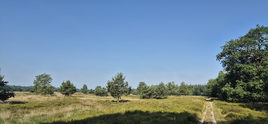 Wandeling over Trage Tocht Gees bij de Hooge Stoep