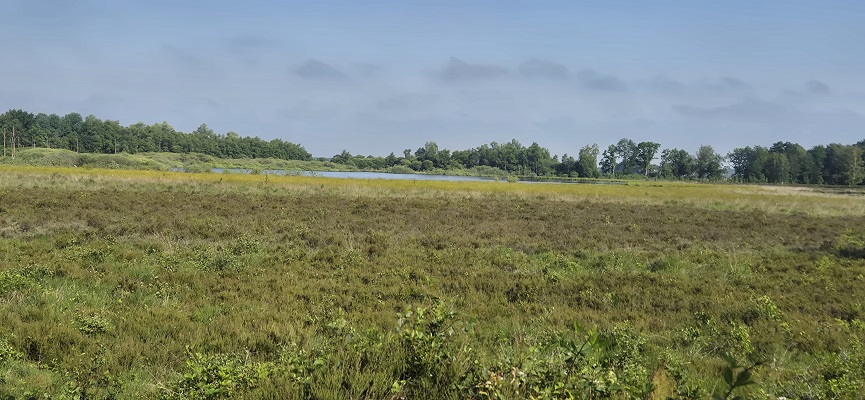 Wandeling over Trage Tocht Gees bij het Mekelmeersche Veen