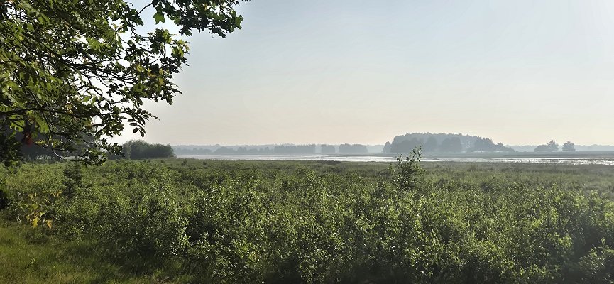 Wandeling over Trage Tocht Gees bij de Koemarsen