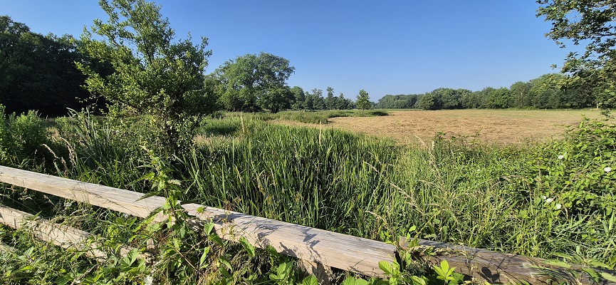 Wandeling over Trage Tocht Gees bij de Geesterstroom