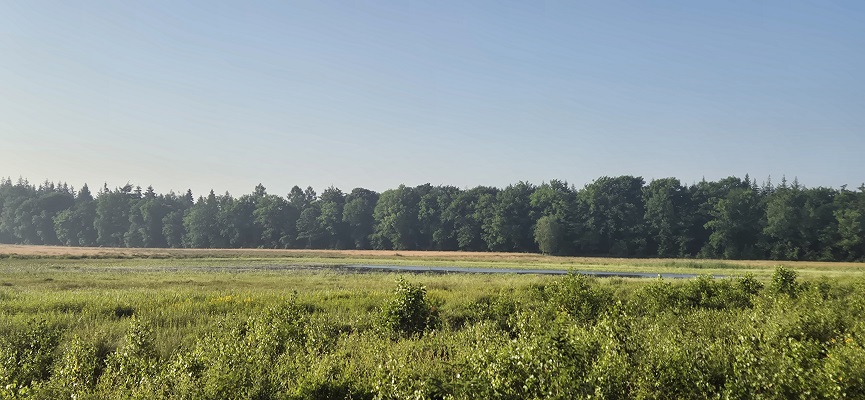 Wandeling over Trage Tocht Gees bij de Koemarsen