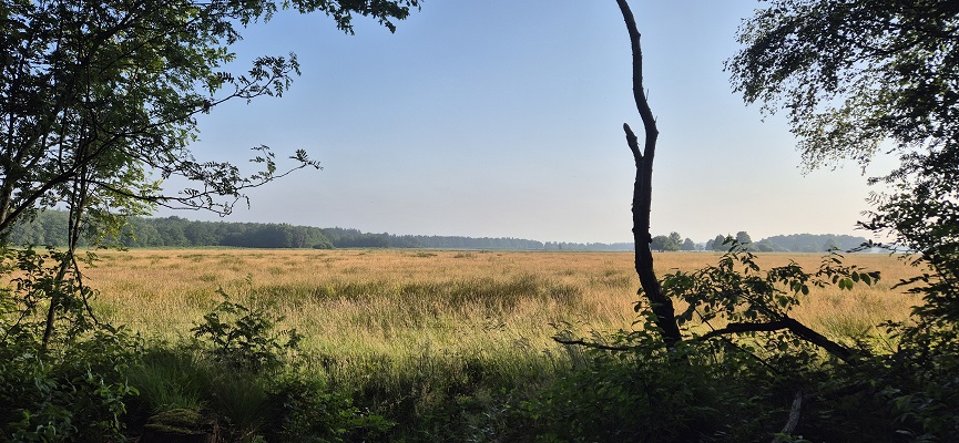 Wandeling over Trage Tocht Gees bij de Koemarsen