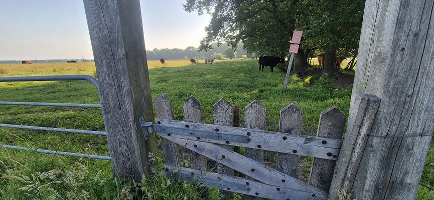 Wandeling over Trage Tocht Gees bij de Marsen