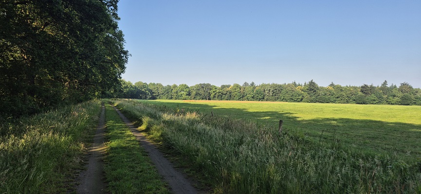 Wandeling over Trage Tocht Gees bij de Marsen