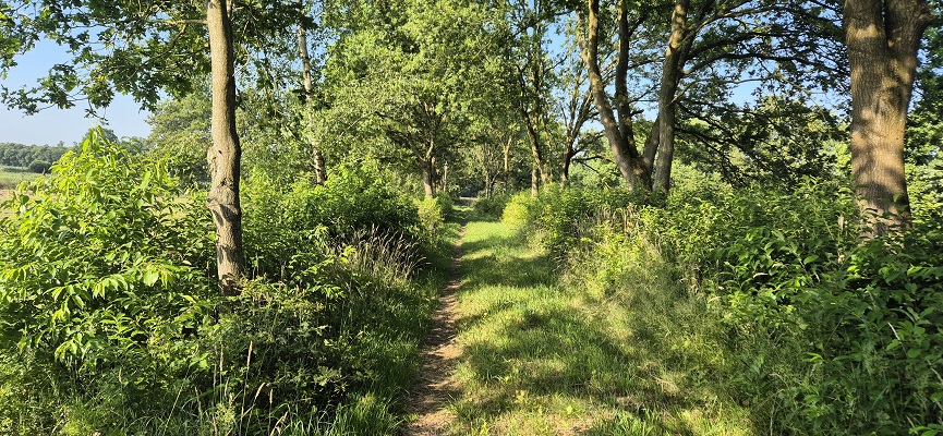 Wandeling over Trage Tocht Gees bij de Geesterstroom
