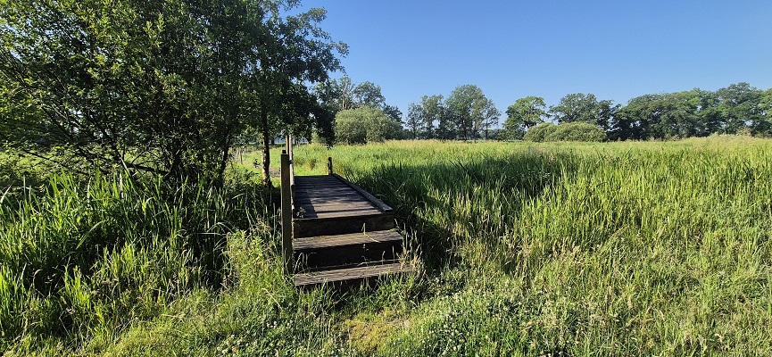 Wandeling over Trage Tocht Gees bij de Geesterstroom