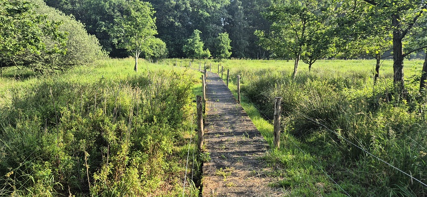 Wandeling over Trage Tocht Gees bij de Geesterstroom