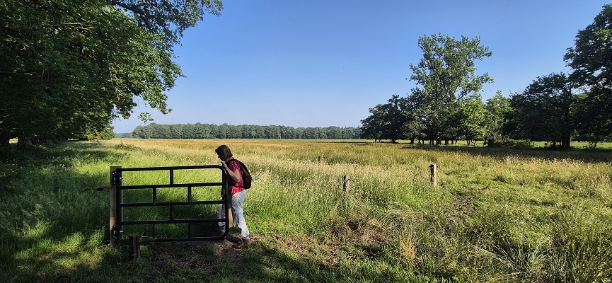 Wandeling over Trage Tocht Gees bij de Geesterstroom