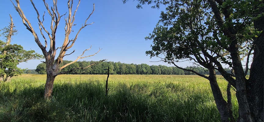 Wandeling over Trage Tocht Gees bij de Geesterstroom