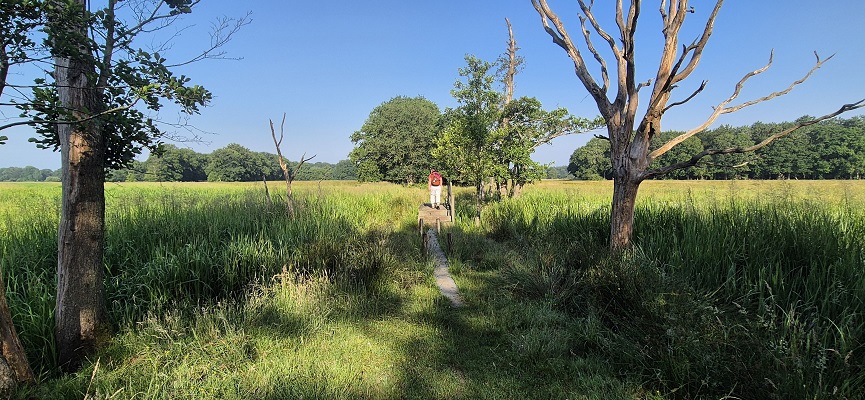 Wandeling over Trage Tocht Gees bij de Geesterstroom