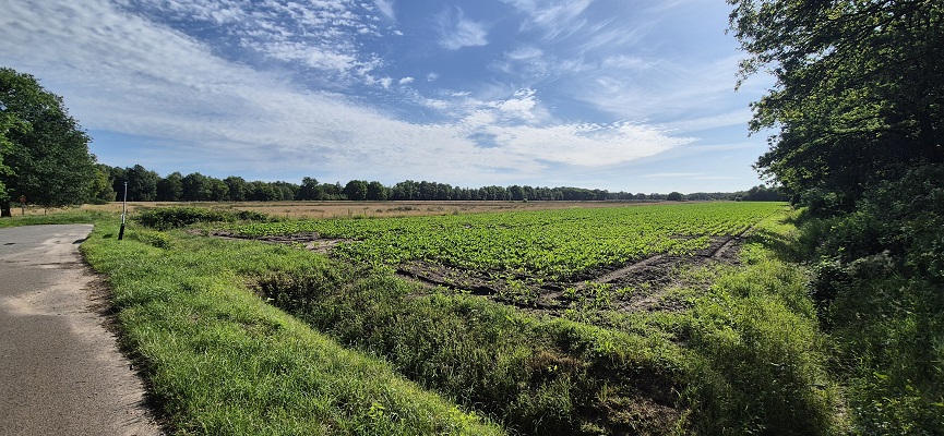 Wandeling over Trage Tocht Orvelte