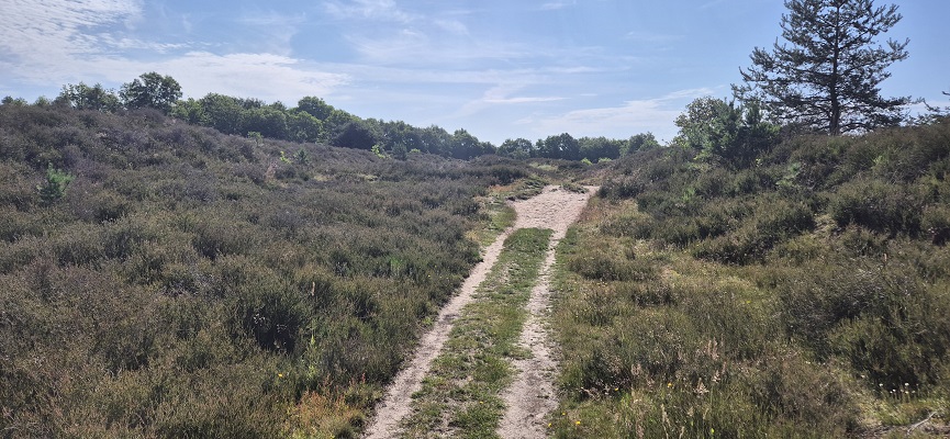 Wandeling over Trage Tocht Orvelte