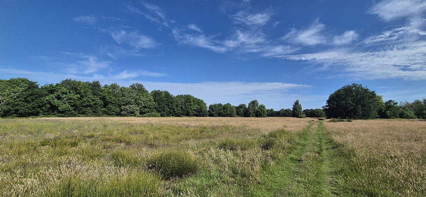 Wandeling over Trage Tocht Orvelte